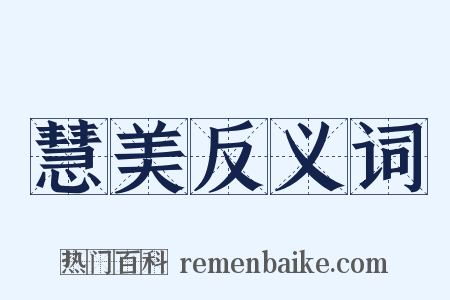 慧美反义词是什么意思的图片